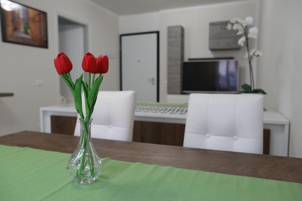 Casa Magenta Apartment 2 Valeggio sul Mincio Exteriér fotografie